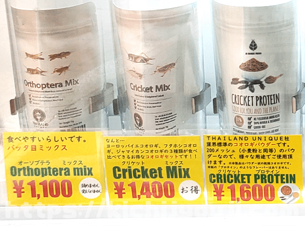 昆虫食が自動販売機で買える！東京、吉祥寺の売ってる場所をご紹介